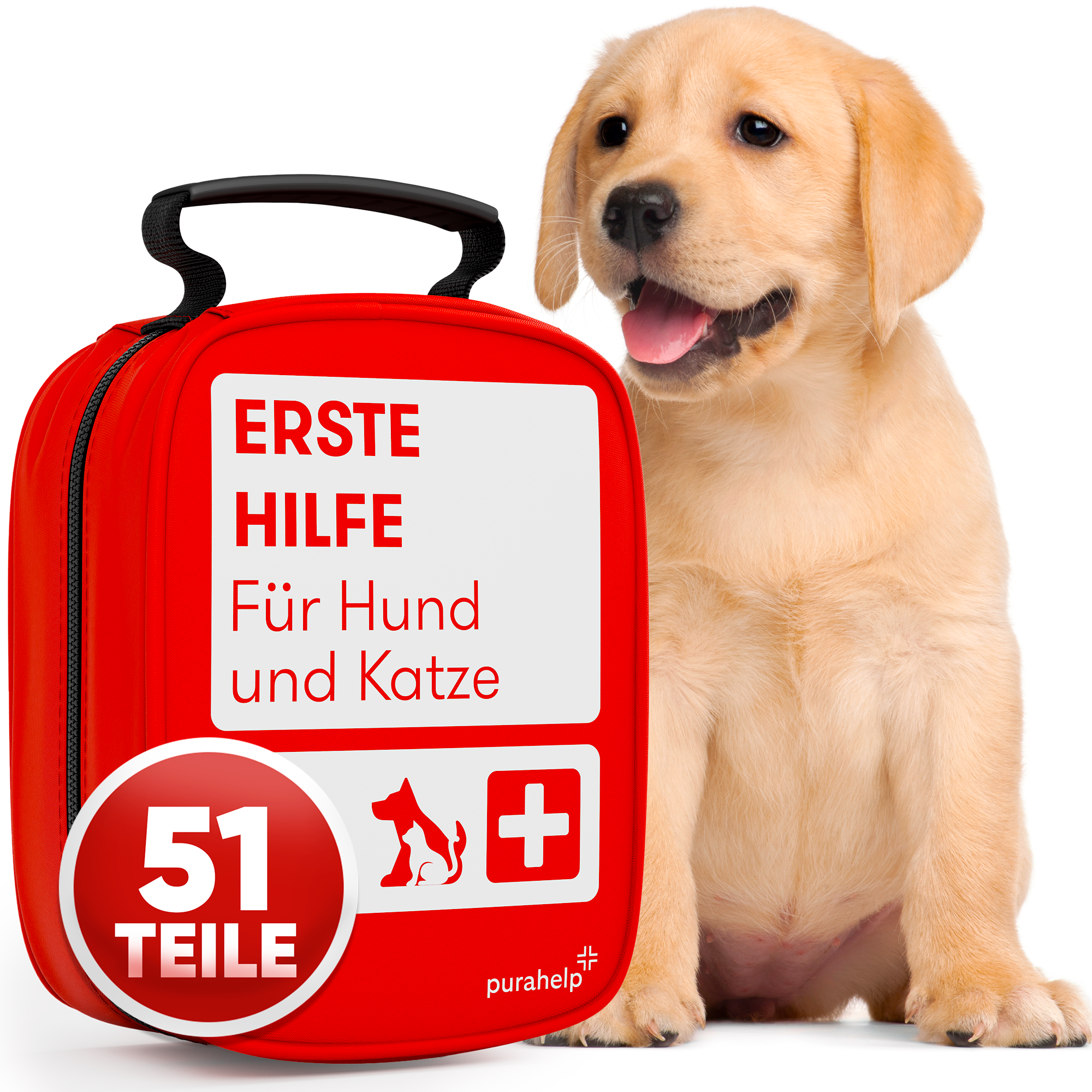 Erste Hilfe Set Hund und Katze