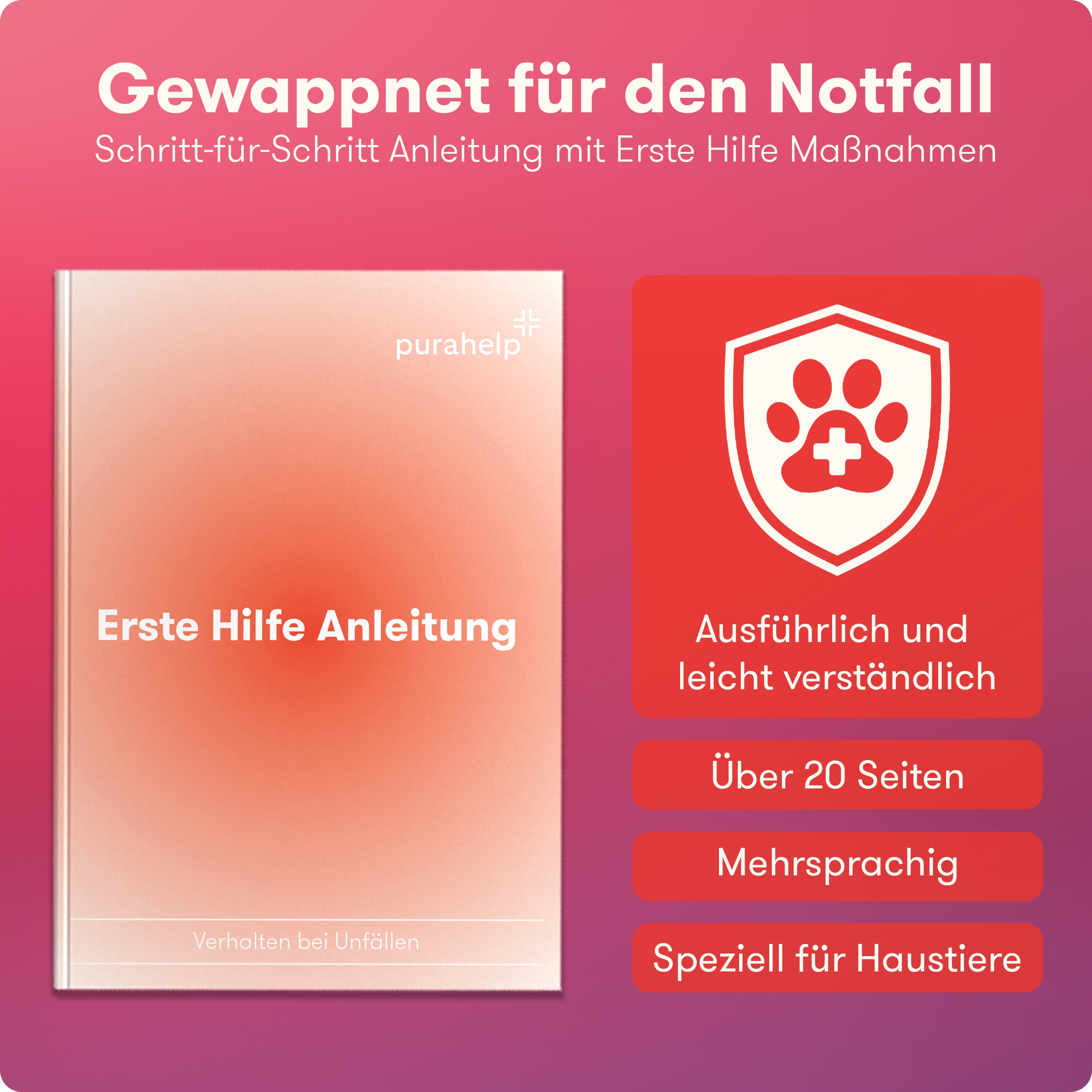 Erste Hilfe Set Hund und Katze